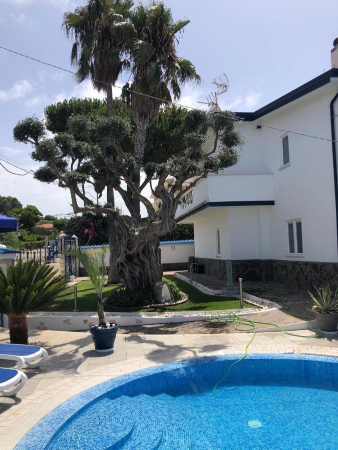 Villa Ludo A Zambrone Tropea Bagian luar foto